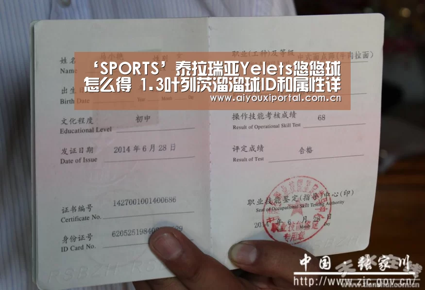 ‘SPORTS’泰拉瑞亚Yelets悠悠球怎么得 1.3叶列茨溜溜球ID和属性详解(图3) 爱游戏体育app