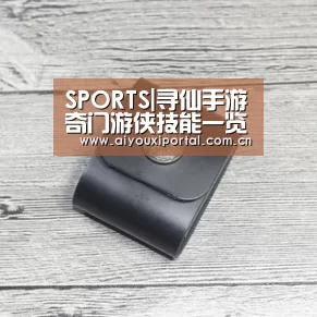 SPORTS|寻仙手游奇门游侠技能一览 奇门游侠技能介绍(图1)