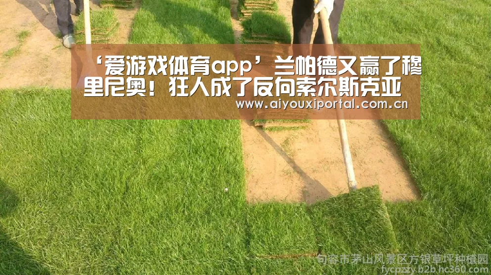爱游戏app