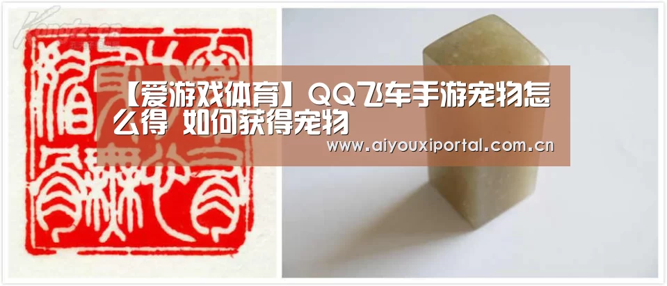【爱游戏体育】QQ飞车手游宠物怎么得 如何获得宠物(图4) 爱游戏体育app
