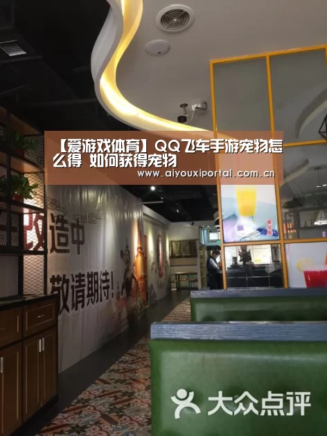 【爱游戏体育】QQ飞车手游宠物怎么得 如何获得宠物(图2) 爱游戏体育app